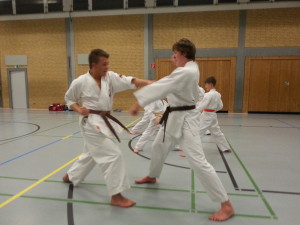 Kumite-Training 10.01.2014